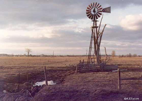 Sombra Twp, Ontario Copyright © A.Ellacott